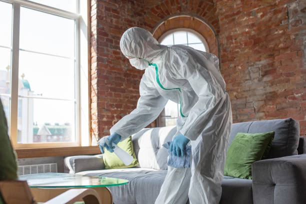 Best Emergency Mold Remediation  in Lawtey, FL